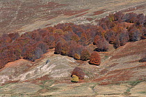 Soil erosion on hillsides due to deforestation and overgrazing, Nympheon Mountains, Northern Greece
