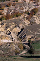 Soil erosion on hillside due to deforestation and overgrazing, Nympheon Mountains, Northern Greece