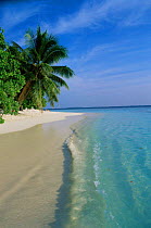 Tropical beach of Bandos Island, North Male Atoll, Maldives, Indian Ocean