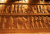 Ancient Bas relief showing camel and men, Persepolis, Iran
