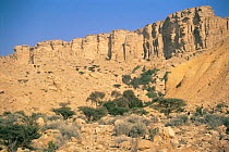Jebel Qatar, Western Hajar mountains, Oman