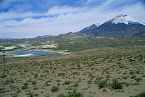 Volcano and lakes in Lauca NP, High Andes, Chile