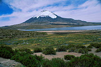 Volcano and Lake Chungara, Lauca NP, High Andes, Chile