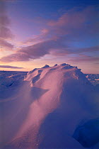Sunset light on the sea ice, Lancaster Sound, Canadian Arctic
