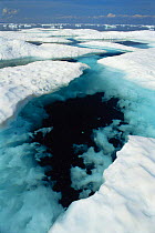 Rotting spring sea ice, Hudson Bay, Canadian Arctic