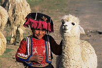 Boy in traditional costume with domestic baby Alpaca, Cuzco, Peru