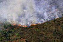 Aerial view of deliberate bush fire in order to make pasture (slash and burn procedure) Piaui State, Brazil, South America