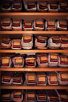 Prayer books wrapped in cloth contain biography of Lord Buddah, National Library, Thimphu, Bhutan 2001