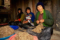 Women sorting {Daphne} fibres into white and black for paper making, Jungshi factory, Thimphu, Bhutan 2001