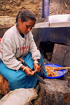 Woman cutting {Daphne} fibres for paper making, Jungshi factory, Thimphu, Bhutan 2001