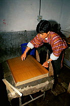 Paper sheets in vat at Jungshi paper making factory, Thimphu, Bhutan 2001