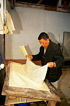 Paper sheets drying - made from {Daphne} tree fibres, Jungshi factory, Thimphu, Bhutan 2001