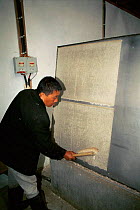 Placing paper sheet made from {Daphne} tree fibres in oven to dry, Jungshi factory, Thimphu, Bhutan 2001