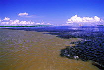 Meeting of the waters of Rio Negro (right) and Solimoes River where they join the river Amazon, Brazil, South America