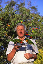 David Attenborough with Rainbow lorikeets (Trichoglossus haemotadus} on location for BBC Life of Birds