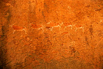 Rock paintings of animals, Twyfelfontain, Namibia, Southern Africa