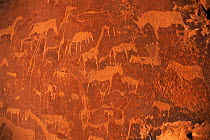 Rock engravings of animals at Twyfelfontain, Namibia, Southern Africa