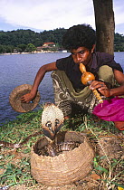 Traditional Snake charmer with cobra with raised hood, Kandy, Sri Lanka