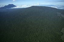 Aerial view of tropical rainforest established on old lava flow of Nyiragongo volcano, Virunga NP, Democratic Republic of Congo (formerly Zaire) Central Africa