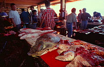 Sea turtle meat for sale in fish market, Indonesia