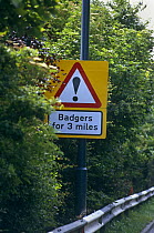 Badger warning road sign, Scotland, UK
