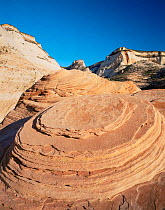 Close up detail of wind eroded patterns in Navajo sandstone, Zion NP, Utah, USA