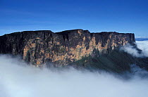 Mount Roraima - flat topped mountain / tepui - summit visible above mist, Venuezela