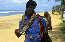 Tourist attraction, man with python and monkey on beach, Vialutra region, Sri Lanka