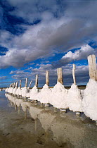 Salt crystallised on posts Camargue, France