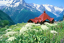 Dombai place - a ski and trekking centre, Caucasus mountains, Karachaevo Cherkessiya, Russia