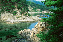 Coastal habitat of Sea of Japan with pine tree forest {Pinus funebris} Primorsk, Ussuriland, Russia