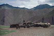 Traditional low stone house construction with dung covered roof, on high pass between Stok and Matho, Ladakh, North West India