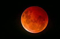 Total eclipse of the Moon 9 January 2001. Worcestershire, UK