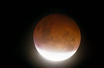 Total eclipse of the Moon 9 January 2001. Worcestershire, UK