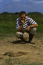 Biologist watching Rattlesnake Llanos, Hato el Frio, Venezuela Mauricio Urcera