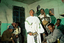 Musicians in Tej (honey wine) bar Debark, Ethiopia, Africa