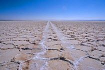Road through Salar de Atacama, Atacama desert, Chile, South America