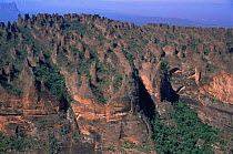 Aerial view of sandstone escarpments, nodular pinnacles, Brazil, South America 2000