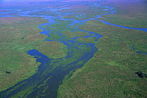 Aerial view of Pantanal landscape, in wet season, Brazil, South America  2000