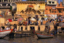 Daily life on the Ghats besides the holy Ganges, Varanesi / Benares, Uttar Pradesh, India