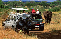 Game drive vehicles with tourists watching African elephant (Loxodonta africana), Tarangire NP, Tanzania, East Africa