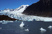 Mendenhall Glacier joining the sea, Juneau, Alaska, USA 1988