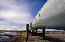 Trans Alaska oil pipeline Prudhoe Bay, Alaska, USA 1988
