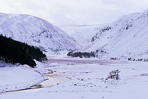 Findhorn valley in winter, Strathdearn, Inverness-shire, Scotland, UK