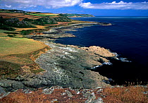 South Devon coast view from Prawle Point, Devon, EnglanCoastal path