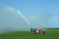 Crop irrigation by pump trucks reduces local water table, Everglades NP, Florida, USA
