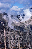 Blast area from 1977 eruption of Mount Usu, South  West Hokkaido, Japan.