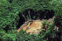Rainforest clearance for road building, Okinawa, Southern Japan. Note - habitat of Pryors woodpecker 2001
