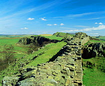 Looking east along Hadrians Wall, Nr Greehead, Northumberland, UK