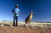 Skippy 'The bush kangeroo' with handler Ron Roman, Australia 1997